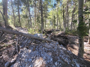 Bristlecone Pine Trail - Copy